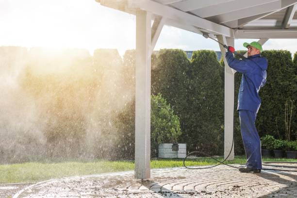 Best Soft Washing  in Wilkinsburg, PA